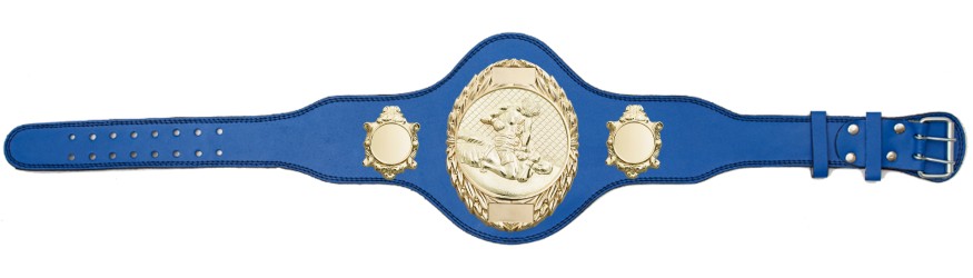 MMA CHAMPIONSHIP BELT-PLT286/G/MMAG-4 COLOURS MMA CHAMPIONSHIP BELT-PLT286/G/MMAG-4 COLOURS